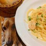 ダックスフンドの写真とアフタヌーンティーティールームのパスタ
