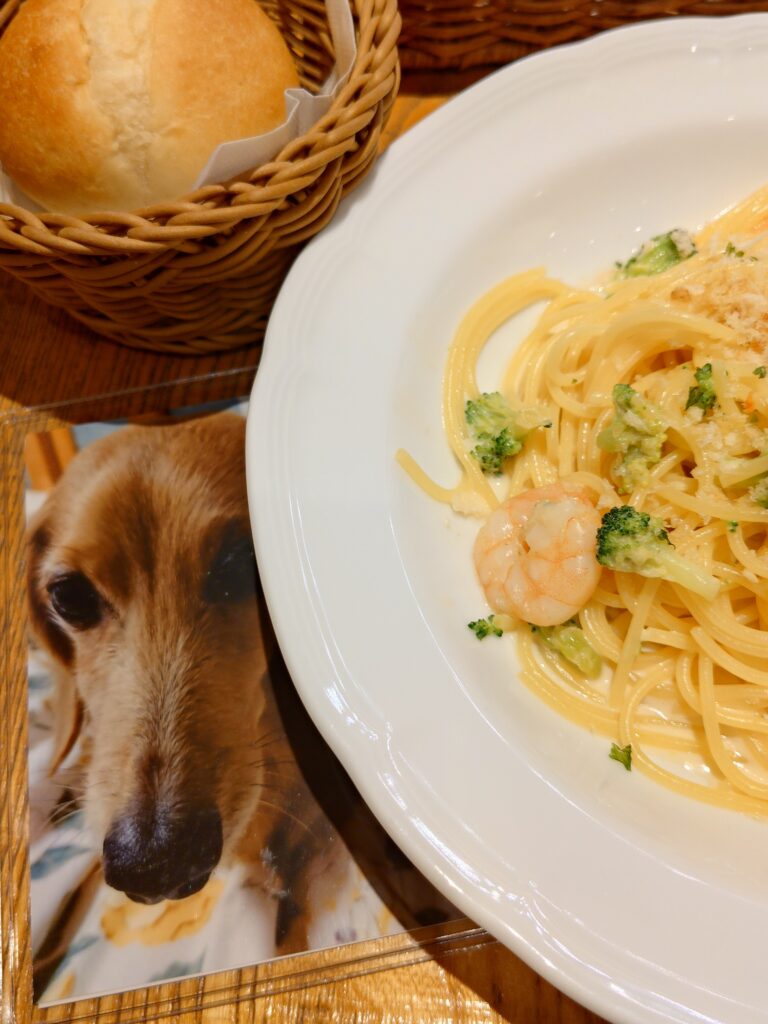 ダックスフンドの写真とアフタヌーンティーティールームのパスタ
